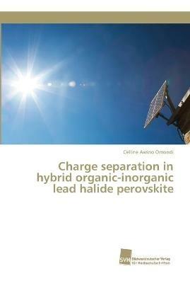 Charge separation in hybrid organic-inorganic lead halide perovskite - Celline Awino Omondi - cover