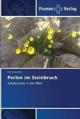 Perlen im Steinbruch - Georg Spindler - cover