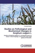 Studies on Pathological and Biochemical Changes in Sorghum vulgare L