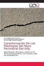 Caracterizacion De Las Patologias Del Muro Perimetral Del Itfip.