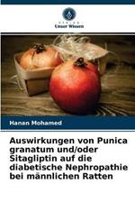 Auswirkungen von Punica granatum und/oder Sitagliptin auf die diabetische Nephropathie bei mannlichen Ratten