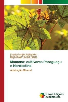 Mamona: cultivares Paraguacu e Nordestina - Evandro Franklin de Mesquita,Lucia Helena Garofalo Chaves,Hugo Orlando Carvallo Guerra - cover