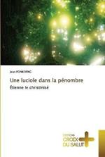 Une luciole dans la penombre