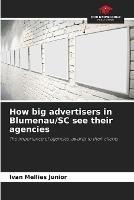 How big advertisers in Blumenau/SC see their agencies