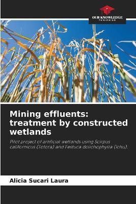 Mining effluents: treatment by constructed wetlands - Alicia Sucari Laura - cover