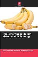 Implementação de um sistema Multihoming