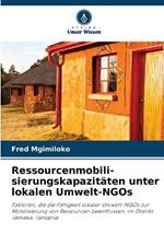 Ressourcenmobili- sierungskapazitäten unter lokalen Umwelt-NGOs