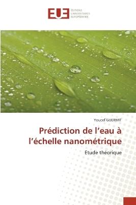 Pr?diction de l'eau ? l'?chelle nanom?trique - Youcef Guermit - cover