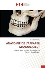 Anatomie de l'Appareil Manducateur