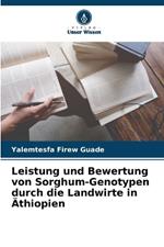 Leistung und Bewertung von Sorghum-Genotypen durch die Landwirte in ?thiopien