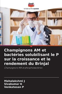 Champignons AM et bact?ries solubilisant le P sur la croissance et le rendement du Brinjal - Mahalakshmi J,Sivakumar K,Venkatesan P - cover