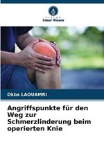 Angriffspunkte f?r den Weg zur Schmerzlinderung beim operierten Knie