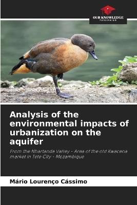 Analysis of the environmental impacts of urbanization on the aquifer - M?rio Louren?o C?ssimo - cover