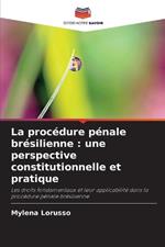 La proc?dure p?nale br?silienne: une perspective constitutionnelle et pratique