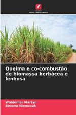 Queima e co-combust?o de biomassa herb?cea e lenhosa