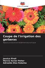 Coupe de l'irrigation des gerberas