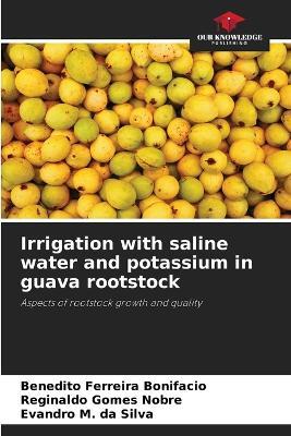 Irrigation with saline water and potassium in guava rootstock - Benedito Ferreira Bonifacio,Reginaldo Gomes Nobre,Evandro M Da Silva - cover