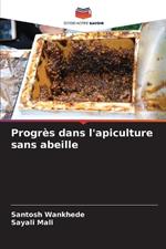 Progr?s dans l'apiculture sans abeille