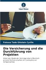 Die Versicherung und die Durchf?hrung von Projekten