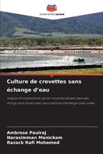 Culture de crevettes sans ?change d'eau