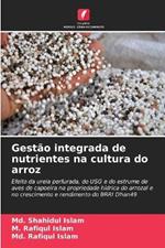 Gest?o integrada de nutrientes na cultura do arroz