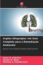 Argilas Attapulgite: Um Guia Completo para a Remedia??o Ambiental