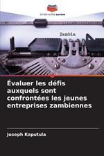 ?valuer les d?fis auxquels sont confront?es les jeunes entreprises zambiennes