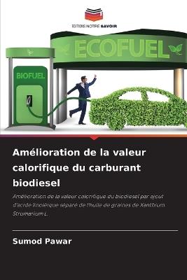 Am?lioration de la valeur calorifique du carburant biodiesel - Sumod Pawar - cover