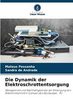 Die Dynamik der Elektroschrottentsorgung