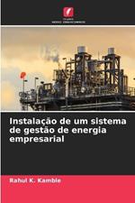 Instalação de um sistema de gestão de energia empresarial