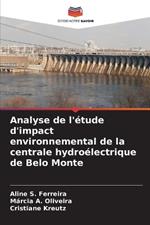 Analyse de l'étude d'impact environnemental de la centrale hydroélectrique de Belo Monte