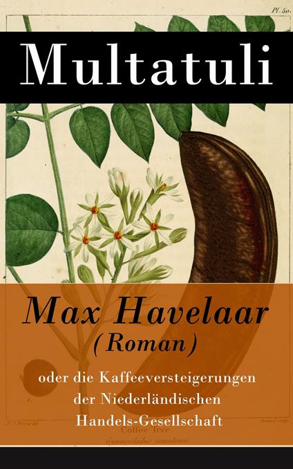 Max Havelaar (Roman)