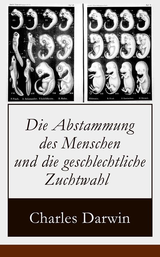 Die Abstammung des Menschen und die geschlechtliche Zuchtwahl