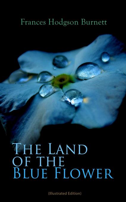 The Land of the Blue Flower (Illustrated Edition) - Frances Hodgson Burnett,Gertrude A. Kay,R. B. Birch,Alfred Brennan - ebook