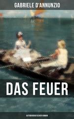 Das Feuer (Autobiografischer Roman)