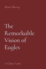 The Remarkable Vision of Eagles: A Closer Look