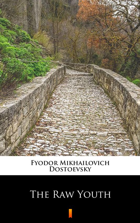 The Raw Youth - Fyodor Mikhailovich Dostoevsky,Constance Garnett - ebook