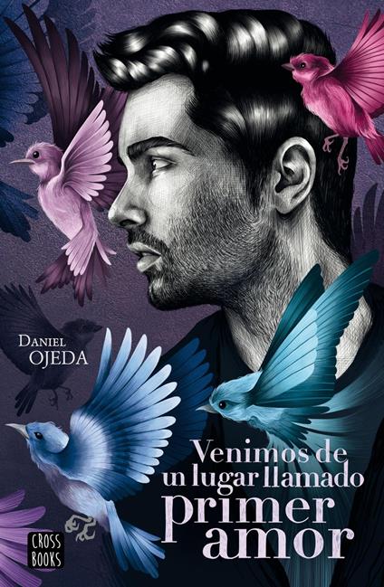 Venimos de un lugar llamado primer amor - Daniel Ojeda Checa - ebook