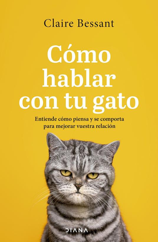 Cómo hablar con tu gato