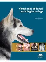 Visual atlas of dental pathologies in dogs