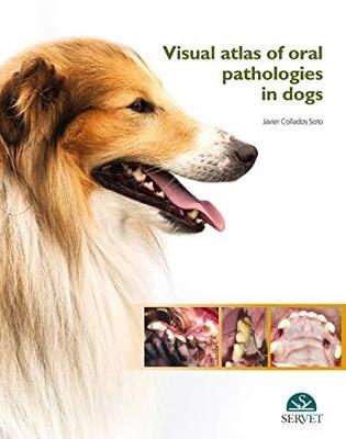 Visual atlas of oral pathologies in dogs - Javier Collados Soto - copertina