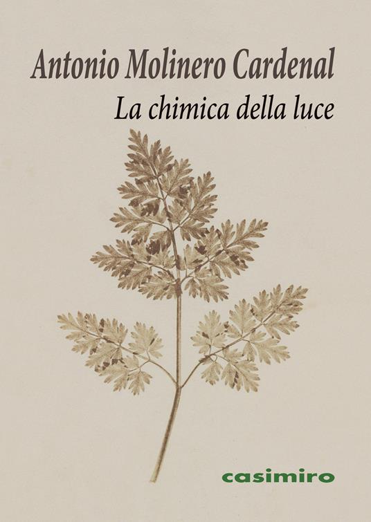 La chimica della luce - Antonio Molinero Cardenal - copertina