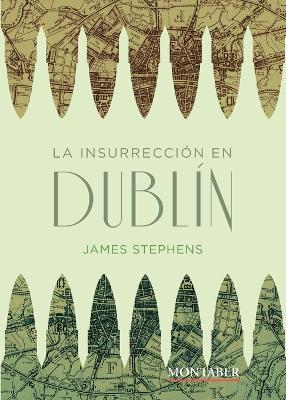 La insurrección en Dublín - James Stephens - cover