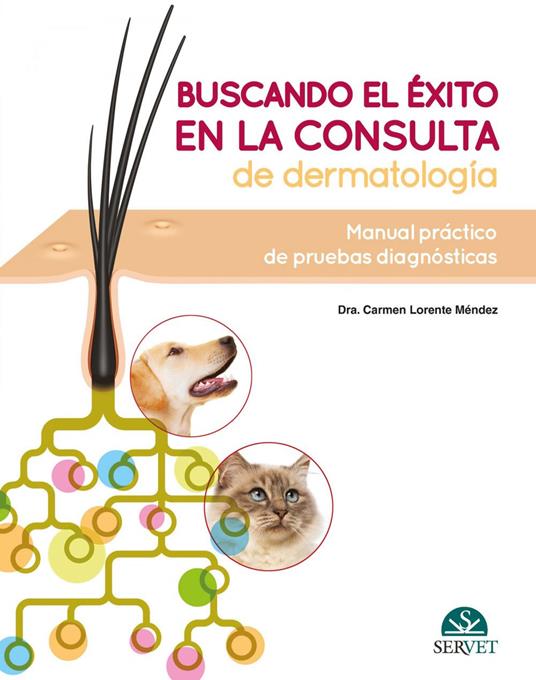 Buscando el éxito en la consulta de dermatología: Manual práctico de pruebas diagnósticas