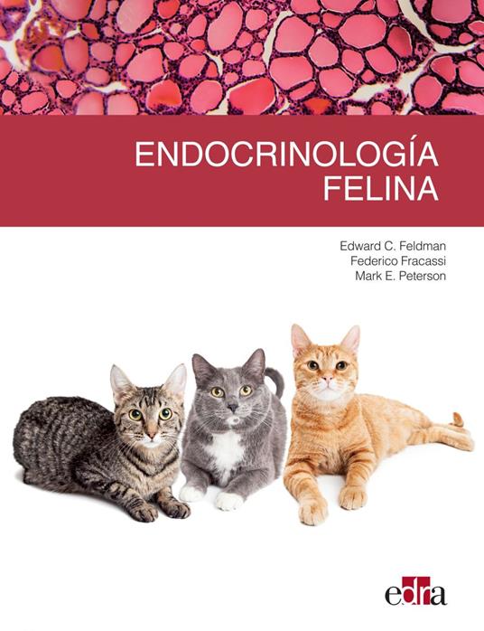 Endocrinología felina