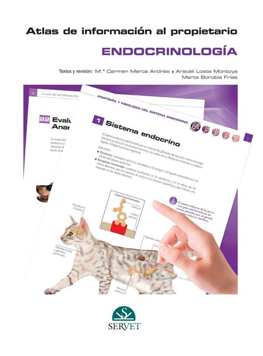 Atlas de información al propietario. Endocrinología