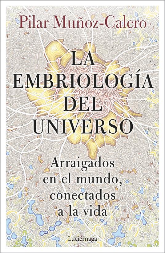 La embriología del universo