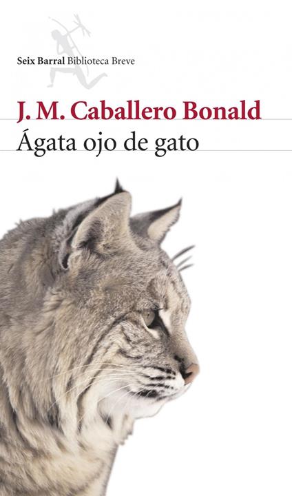 Ágata ojo de gato