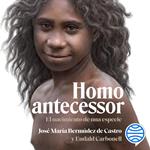 Homo antecessor