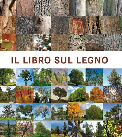 Il libro sul legno - Francesc Zamora Mola - copertina